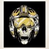 Flying skull