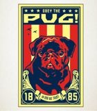 Carteles