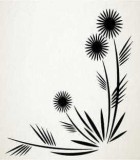 Plantas