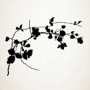Rosal