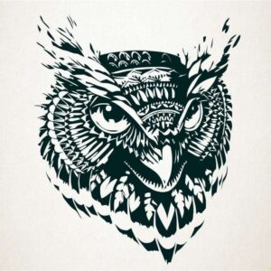 Halcon