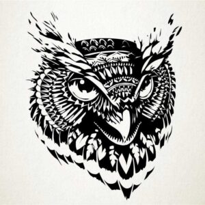 Halcon