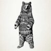 Ursus