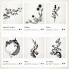 Editor de plantas