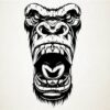Kong